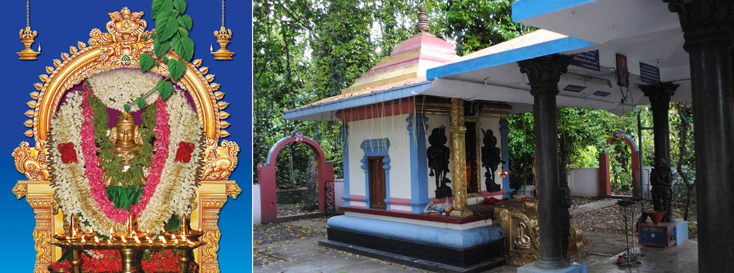 Iyvala Vanadurga Temple