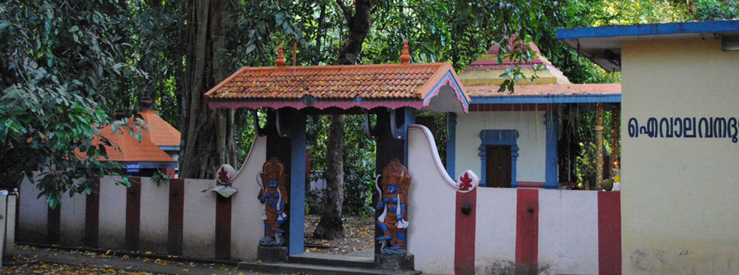 Iyvala Vanadurga Temple